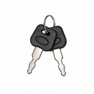 Battery Key x2